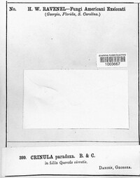 Image Associated With the Occurence